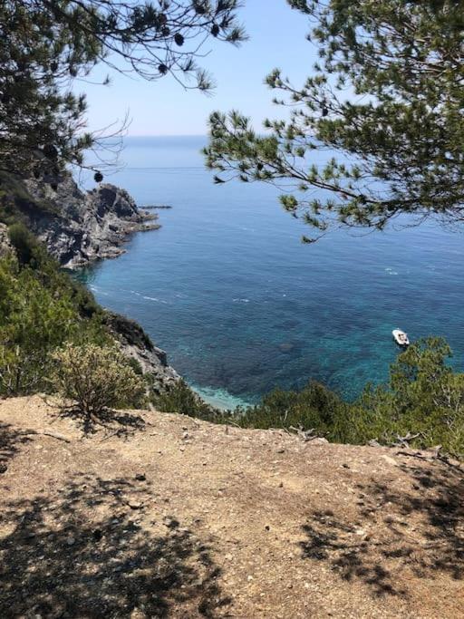 Charmant Studio Dans Villa - Parking - Jardin La Seyne-sur-Mer Zewnętrze zdjęcie
